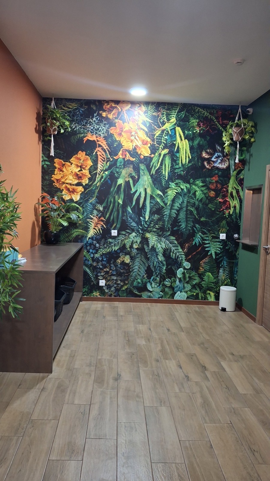 Lounge Sapo Espumado — sofá, plantas e luz quente