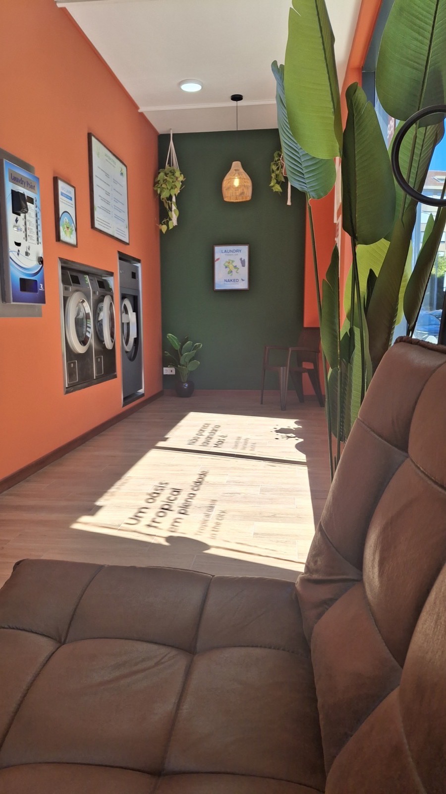 Interior Sapo Espumado — oásis tropical com máquinas e lounge
